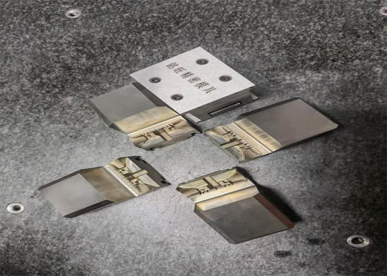 Kunststof spuitgieten inzetstukken Mold Solution Mould Components
